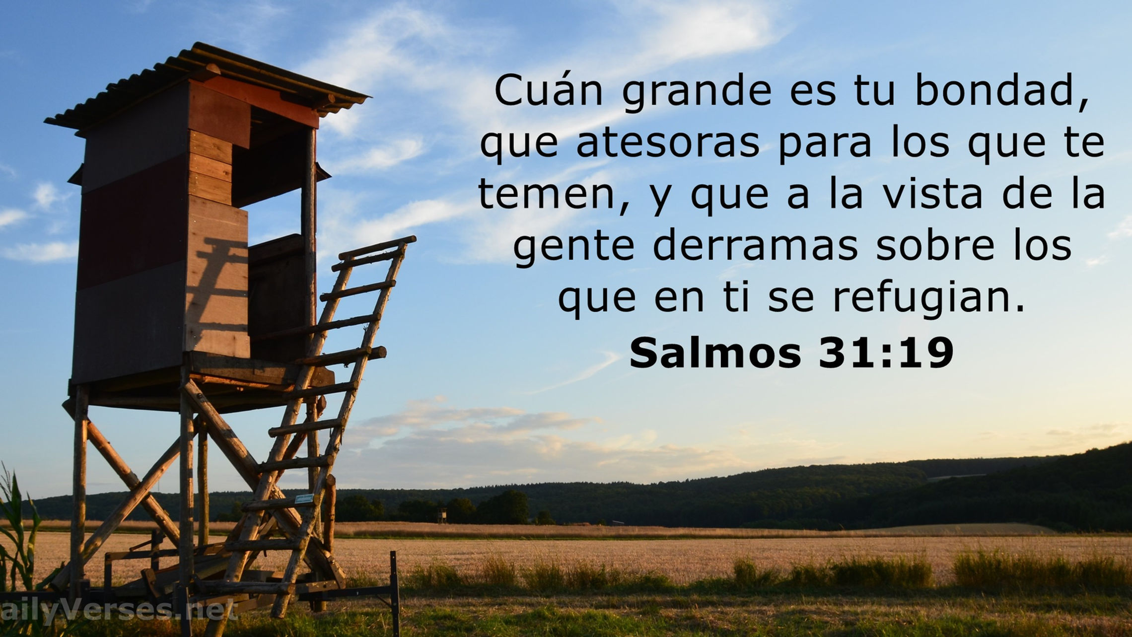 Salmos